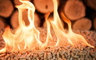 Comment fonctionnent les chaudières biomasses ?