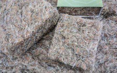 Les meilleurs matériaux pour une isolation écologique