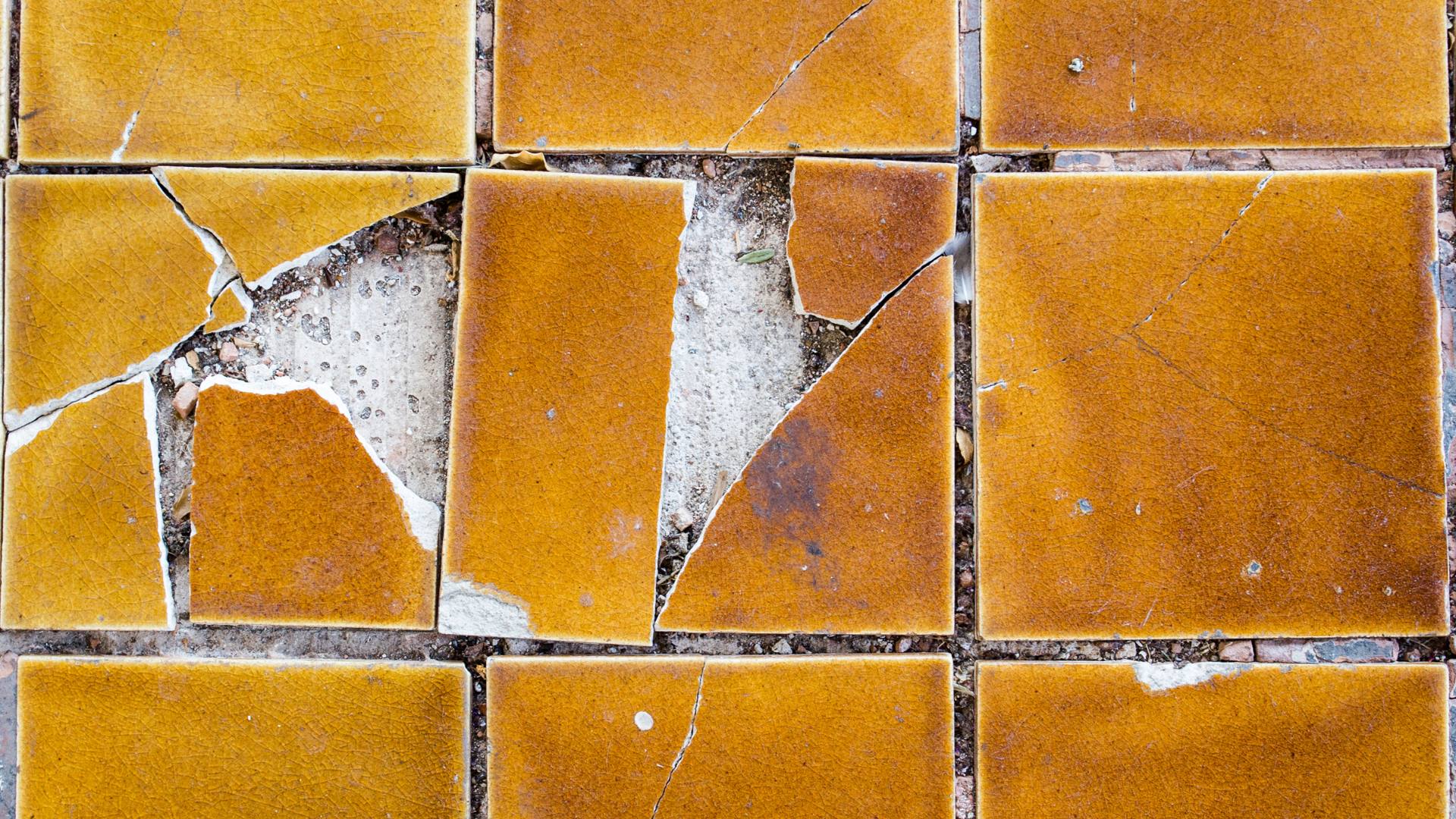 fissure carrelage 